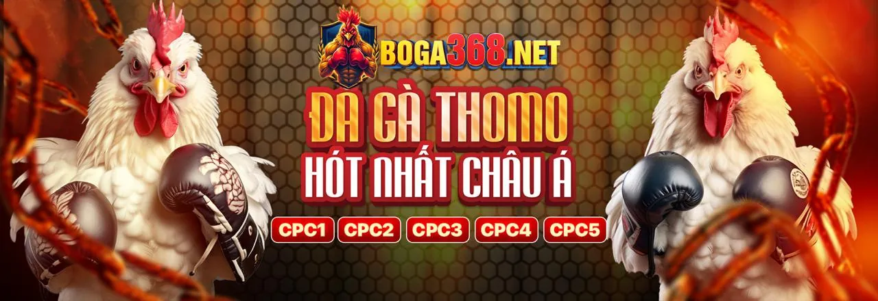 Hình ảnh chính về đá gà trực tuyến tại jb88