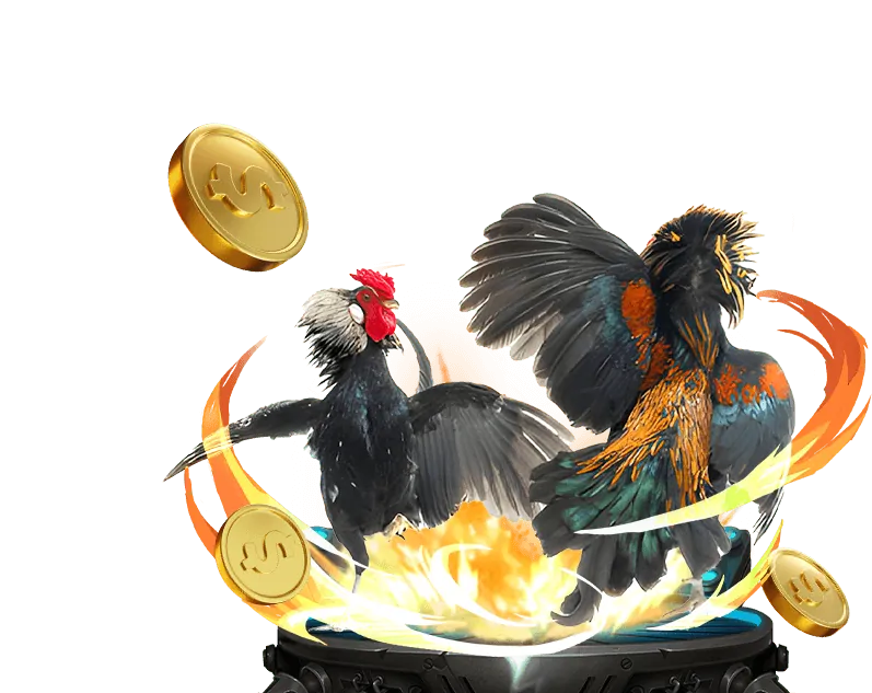 Giao diện Đá Gà Trực Tuyến SIN88