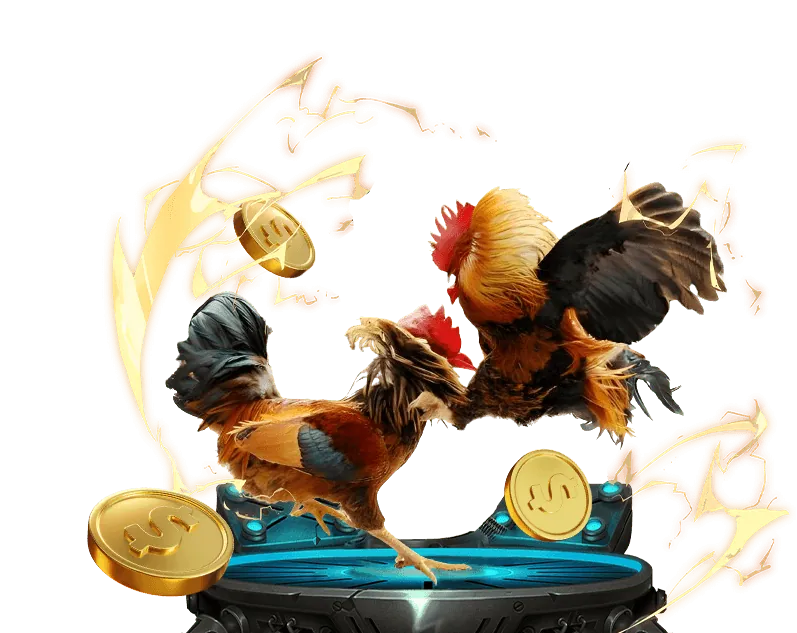 Cá cược thể thao ảo sin88