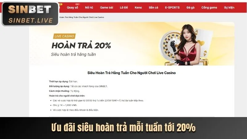 Cá cược thể thao sin88
